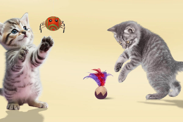 Le mystère des jouets pour chat qui ressemblent à des prédateurs