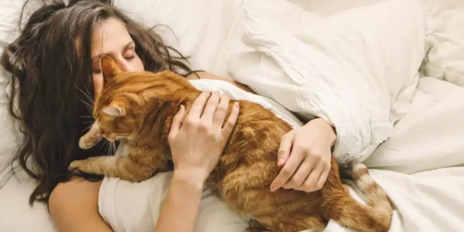 Pourquoi Mon Chat Dort Sur Moi 