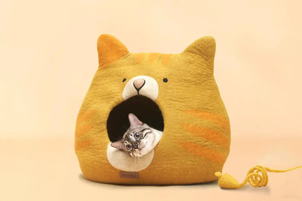 Pourquoi-votre-chat-adore-t-il-s-isoler MariGold