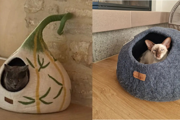 Abri-pour-Chat-Comprendre-le-Besoin-Territorial-de-Votre-Félin-et-Comment-y-Répondre MariGold