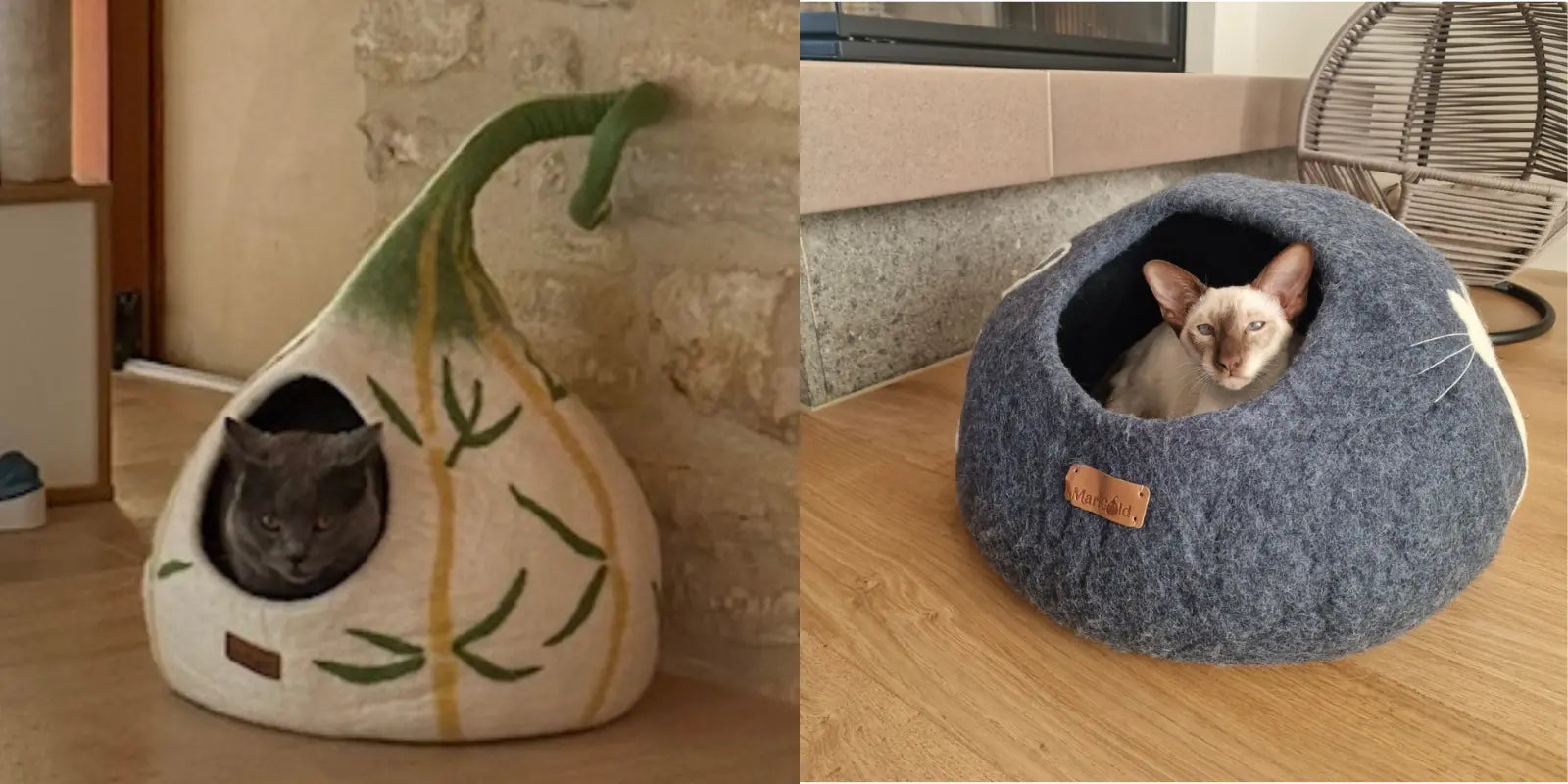 Abri-pour-Chat-Comprendre-le-Besoin-Territorial-de-Votre-Félin-et-Comment-y-Répondre MariGold