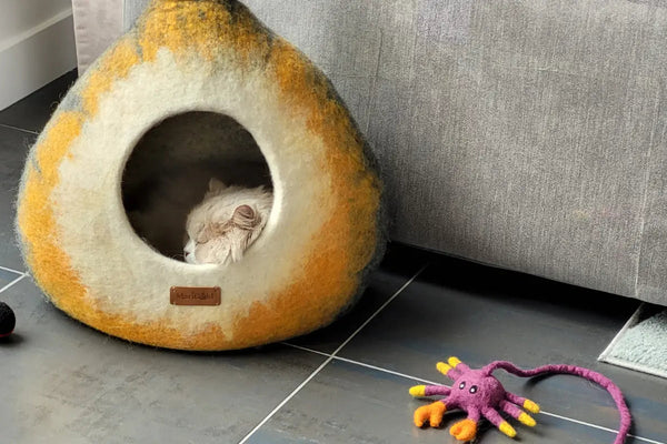 Laine-non-mulesing-pourquoi-choisir-un-lit-une-grotte-ou-un-abri-éthique-pour-votre-chat MariGold