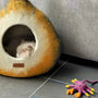 Laine-non-mulesing-pourquoi-choisir-un-lit-une-grotte-ou-un-abri-éthique-pour-votre-chat MariGold