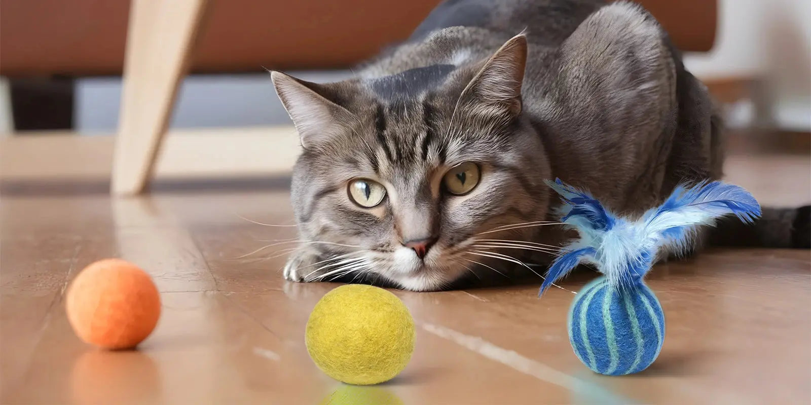 Les-jouets-durables-un-simple-effet-de-mode MariGold