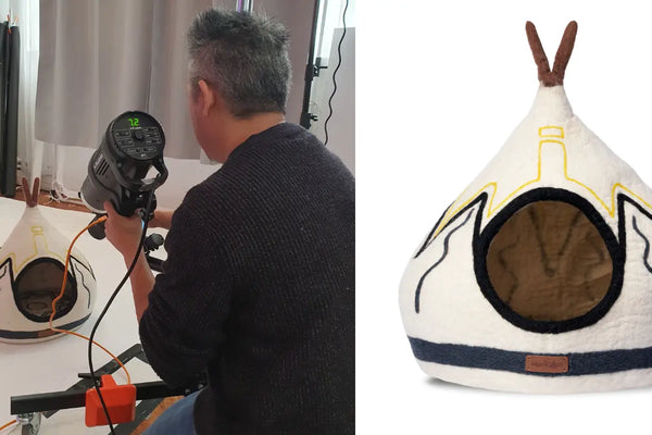 Abri-pour-Chat-L-Impact-Scientifique-sur-la-Santé-Mentale-Féline-Études-2024 MariGold