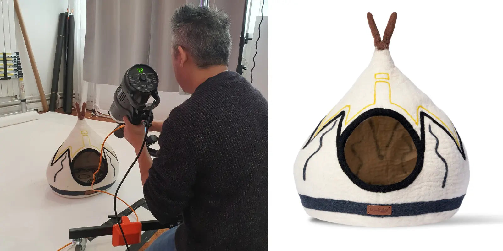 Abri-pour-Chat-L-Impact-Scientifique-sur-la-Santé-Mentale-Féline-Études-2024 MariGold