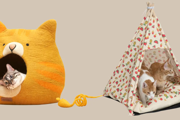 abris-pour-chat lit-pour-chat, maison-pour-chat