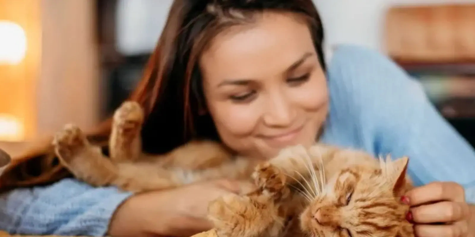 Grotte-pour-Chat-et-Feng-Shui-Harmoniser-Énergies-Félines-et-Décoration-Zen MariGold