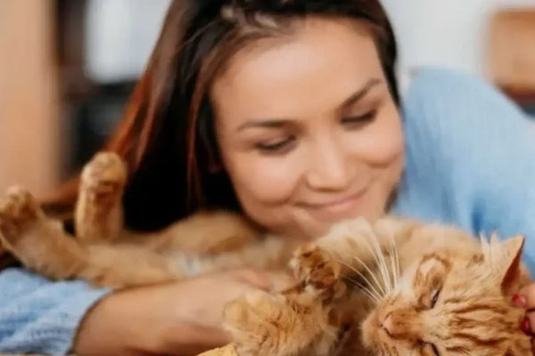 Grotte-pour-Chat-et-Feng-Shui-Harmoniser-Énergies-Félines-et-Décoration-Zen MariGold
