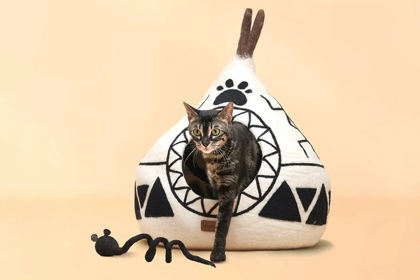 Les-avantages-insoupçonnés-de-la-grotte-pour-chat MariGold