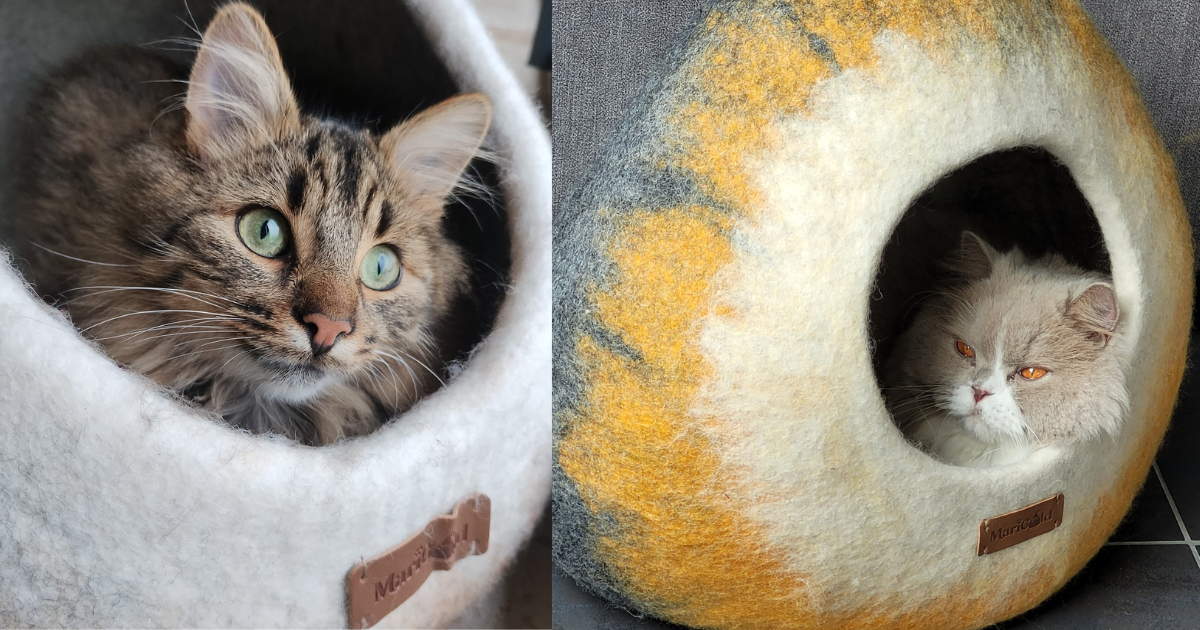 Chat installé dans sa grotte en laine feutrée MariGold, illustrant la garantie adoption féline de 100 jours