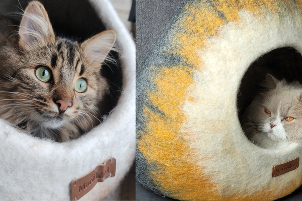 Chat installé dans sa grotte en laine feutrée MariGold, illustrant la garantie adoption féline de 100 jours