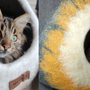 Chat installé dans sa grotte en laine feutrée MariGold, illustrant la garantie adoption féline de 100 jours