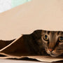 Chat réfugié dans une grotte en laine de mouton feutrée MariGold