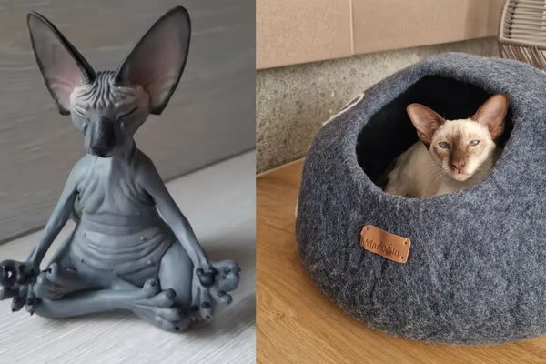 Grotte-pour-Chat-en-Laine-Le-Refuge-Ancestral-Qui-Transforme-les-Chats-Anxieux-en-Bouddhas-Zen MariGold