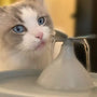 fontaine à eau pour chat design