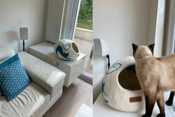 Comment-Intégrer-une-Grotte-pour-Chat-dans-Votre-Intérieur MariGold