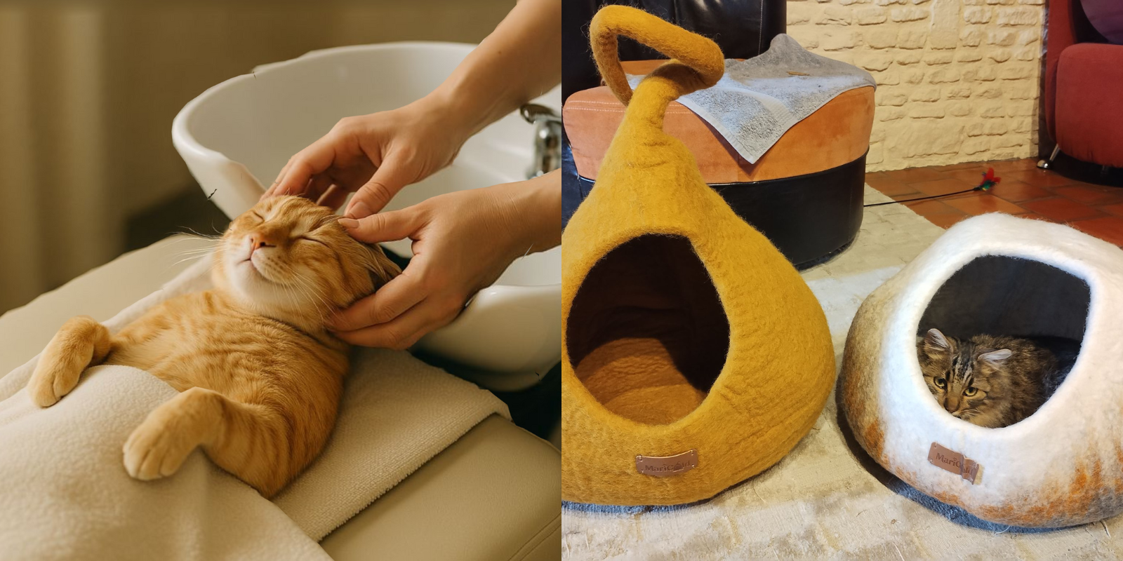 Panier pour Chat : L'Expérience Sensorielle Multidimensionnelle qui Transforme le Bien-Être Félin