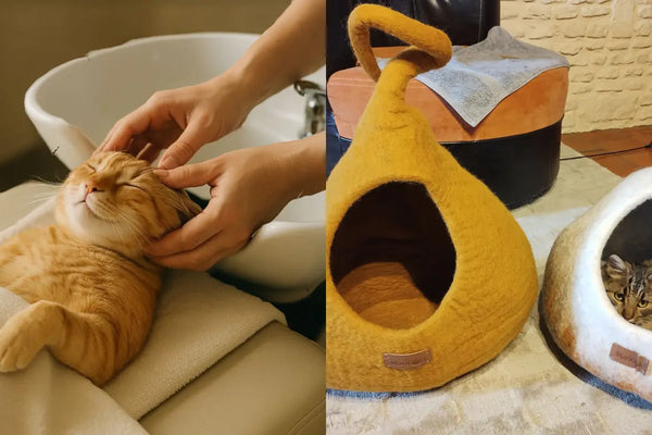 Panier-pour-Chat-L-Expérience-Sensorielle-Multidimensionnelle-qui-Transforme-le-Bien-Être-Félin MariGold