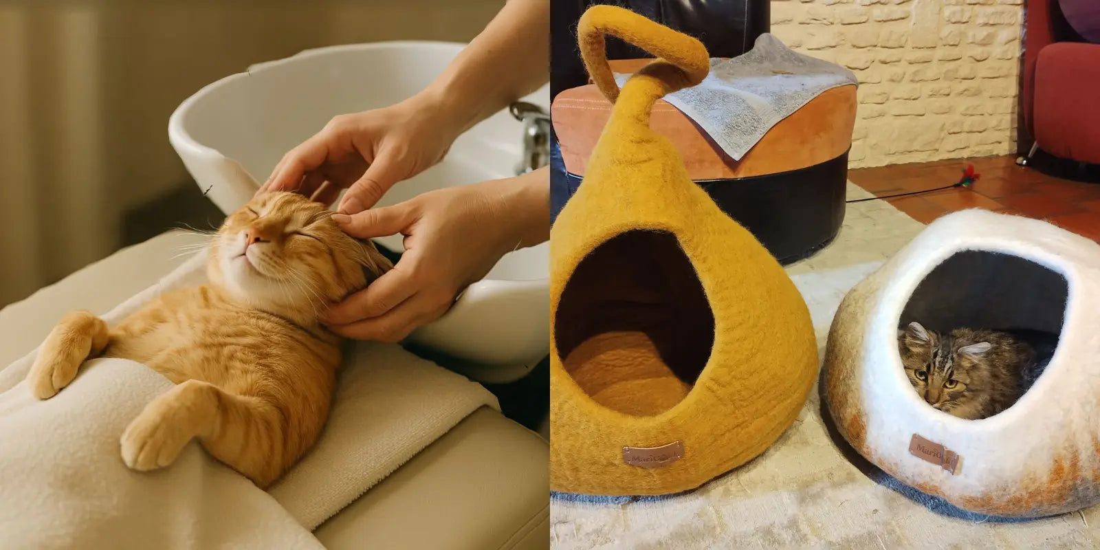 Panier-pour-Chat-L-Expérience-Sensorielle-Multidimensionnelle-qui-Transforme-le-Bien-Être-Félin MariGold