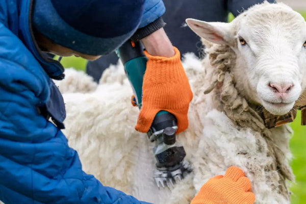 laine-grotte-pour-chat-abris-pour-chat