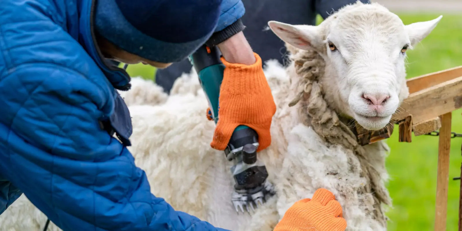 laine-grotte-pour-chat-abris-pour-chat