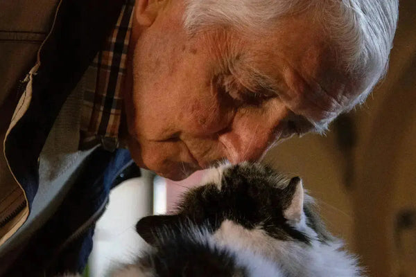 lit-pour-chat-abris-pour-chat-senior