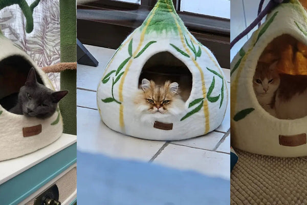 lit pour chat en laine de mouton naturelle