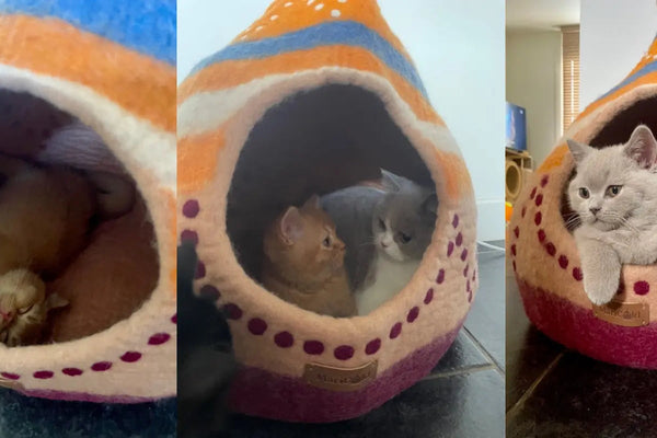 lit, maison panier abri pour chat 