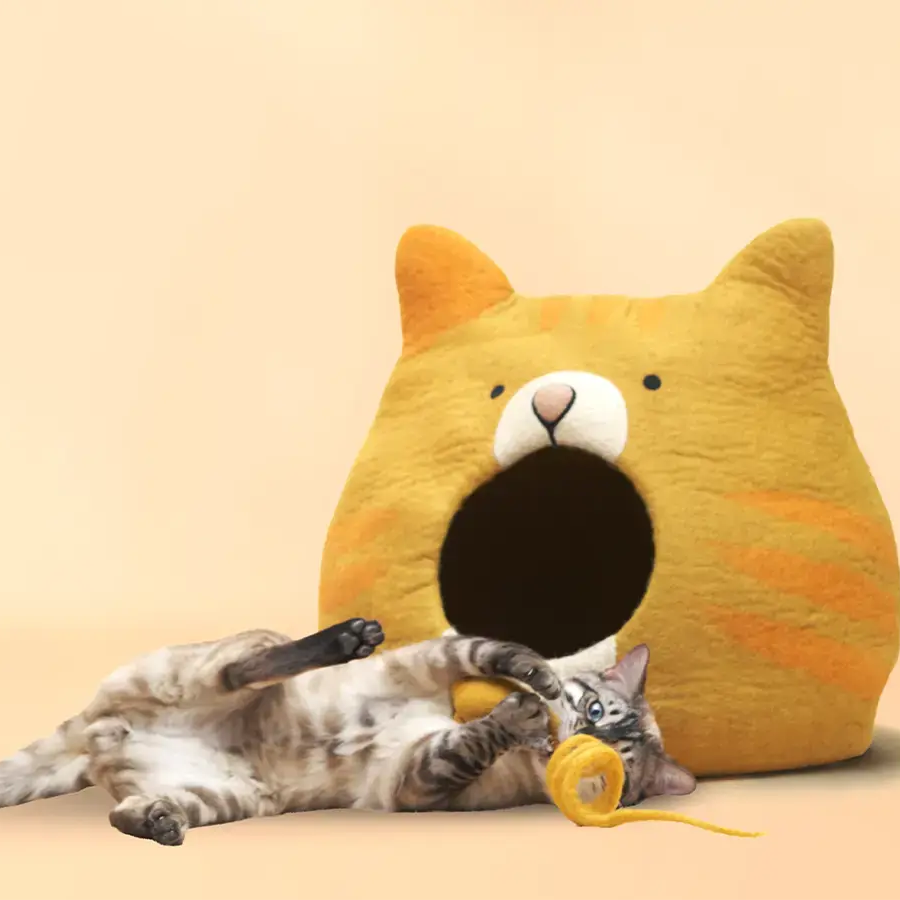 Tête de Chat - MariGold