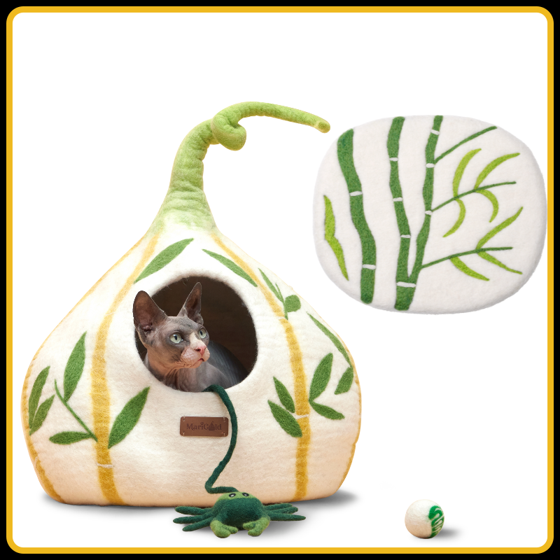 Bambou Pack