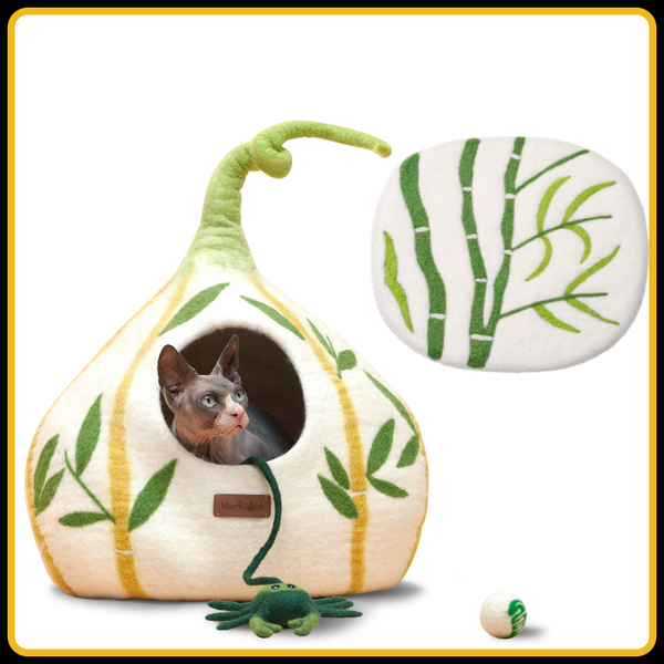 Bambou Pack