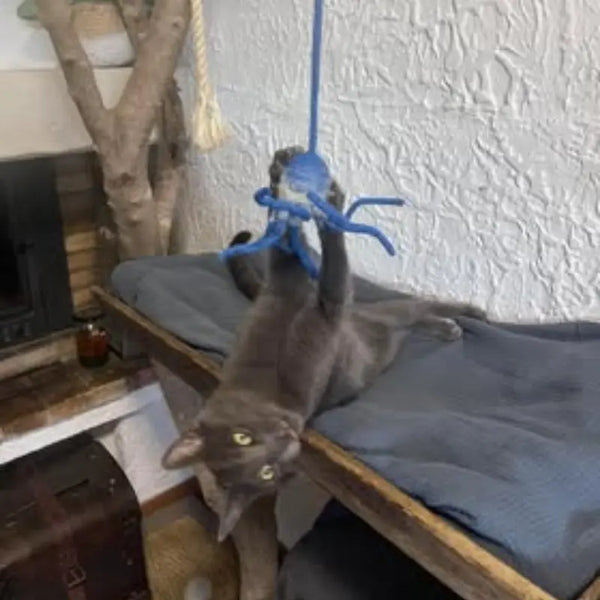 jouet pour chat molu MariGold