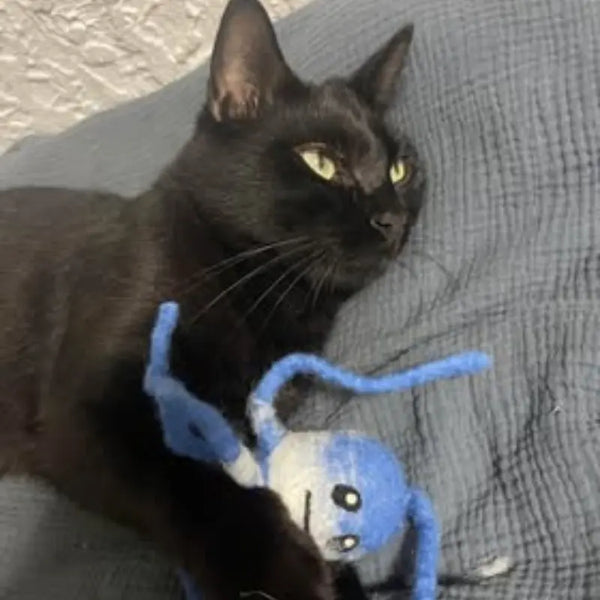 jouet pour chat molu MariGold