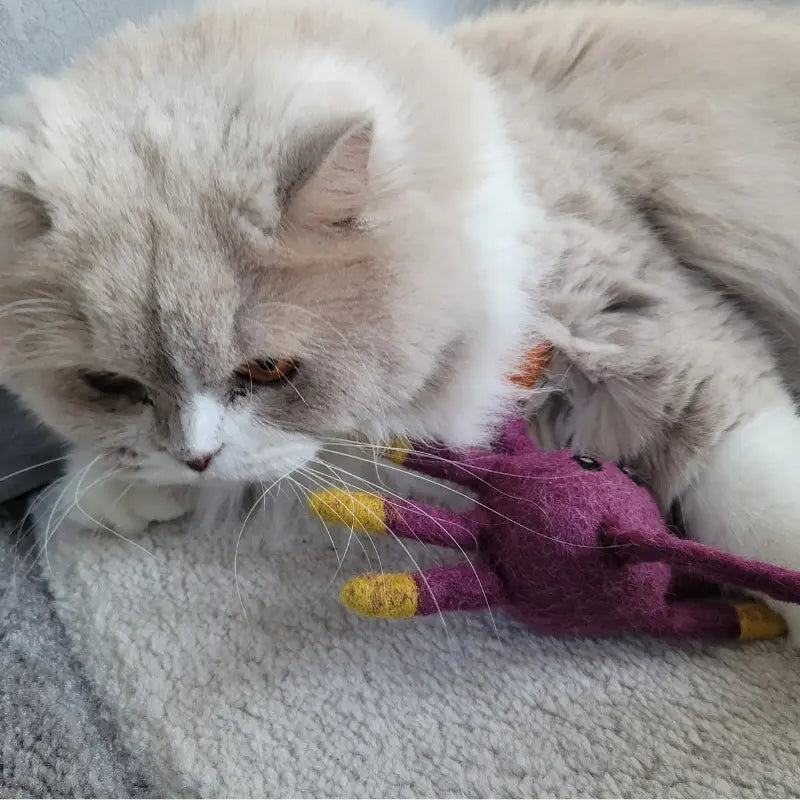 Jouet pour chat griffe MariGold