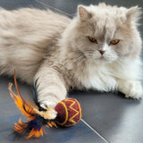 Balle pour chat en laine feutrée avec plumes – divertissement garanti