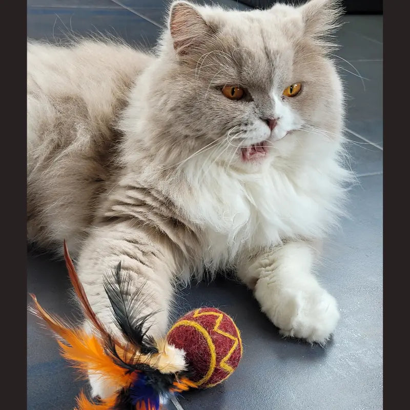 Balle en laine feutrée avec plumes pour chat – jouet naturel et stimulant