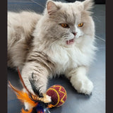 Balle en laine feutrée avec plumes pour chat – jouet naturel et stimulant