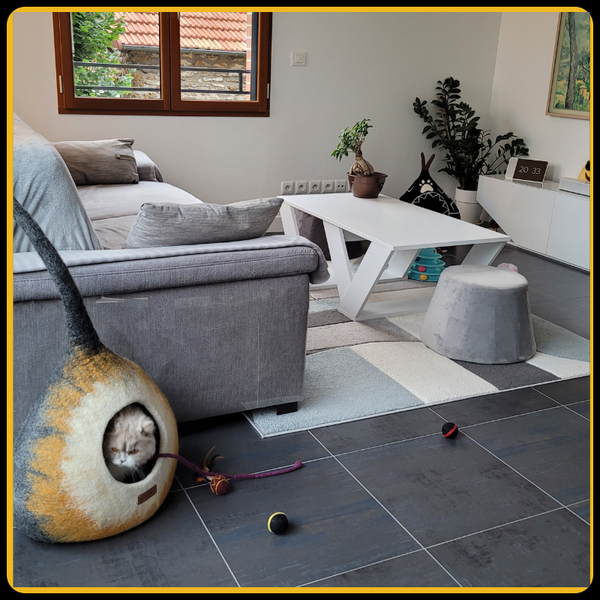 Maison pour chat potir MariGold