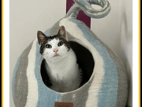 Grotte et maison pour chat wave en feutre de laine – abri et panier douillet1
