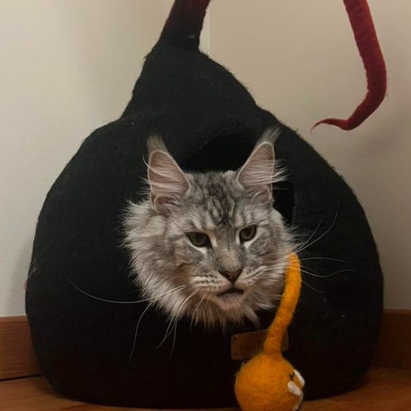 Grotte et maison décoration pour chat jacks en feutre de laine – abri et panier douillet2