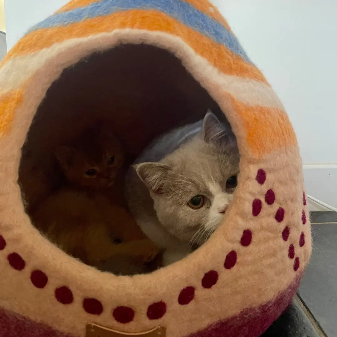 Maison pour chat tepee MariGold