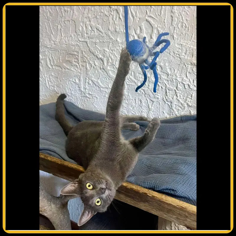 Grotte et maison pour chat wave en feutre de laine – abri et panier douillet5