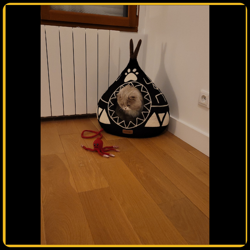 Igloo pour chat bison MariGold