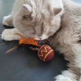 Jouet balle en laine avec plumes pour chat – doux et amusant