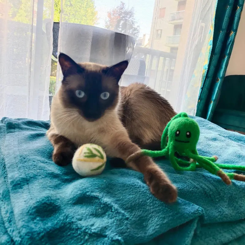 Jouet pour chat crabe grace en feutre de laine – divertissant et naturel et décoration