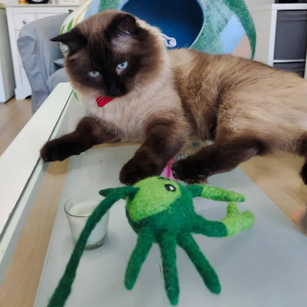 Jouet pour chat crabe grace en feutre de laine – divertissant et naturel 9