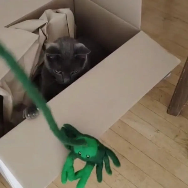 Jouet pour chat grace MariGold 8