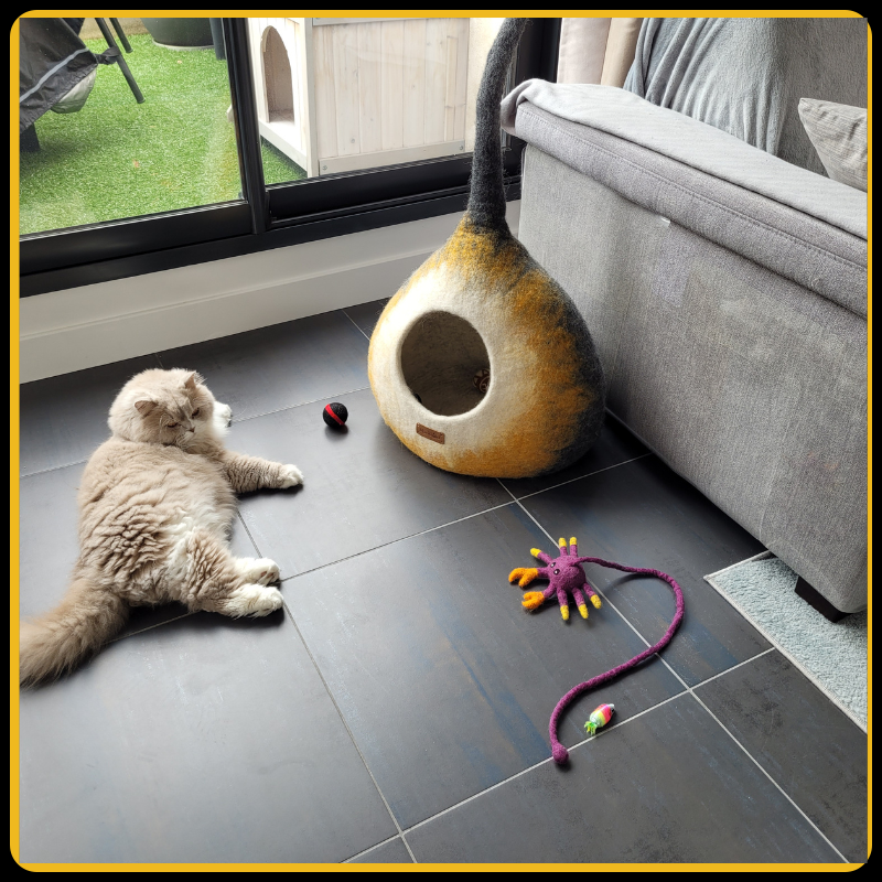 Maison pour chat potir MariGold