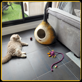 Maison pour chat potir MariGold